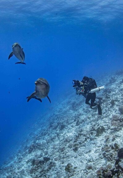 Yacht-charter-experience-diving